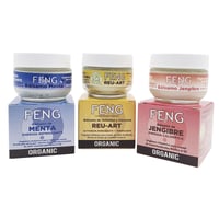 FENG Baumes 50ml : Menthe, Gingembre et Armoise et Curcuma