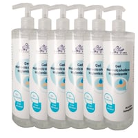 Boîte de 6 unités de Gel hydroalcoolique assainissant Kinefis RAER 500 ml