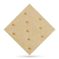 Herbiform Plus Perforé 2mm