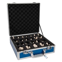 Lot de 24 vertèbres BONElike