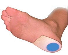 Talon Duplo Talon Duplo