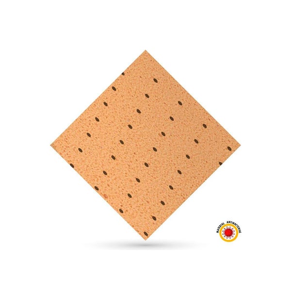 Evastar antibactérien : efficace contre les bactéries Escherichia Coli et Staphylococcus Aureus (90 x 100 cm)