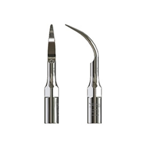 Punta Type échographie pic 