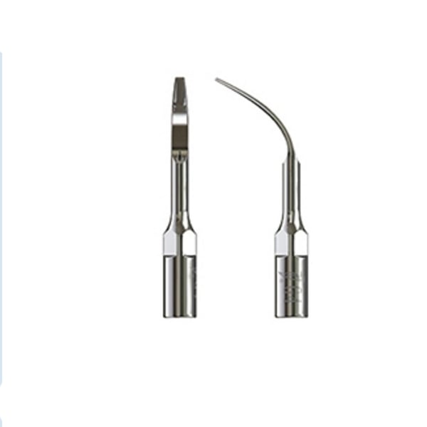 Punta Type échographie pic 