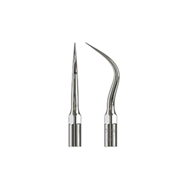 Punta Type échographie pic 