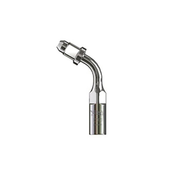 Punta Type échographie pic 