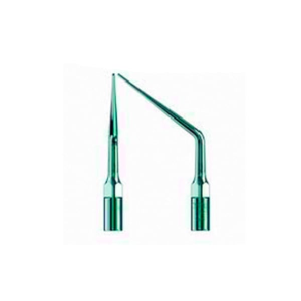 Punta Type échographie pic 