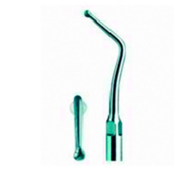 Punta Type échographie pic 