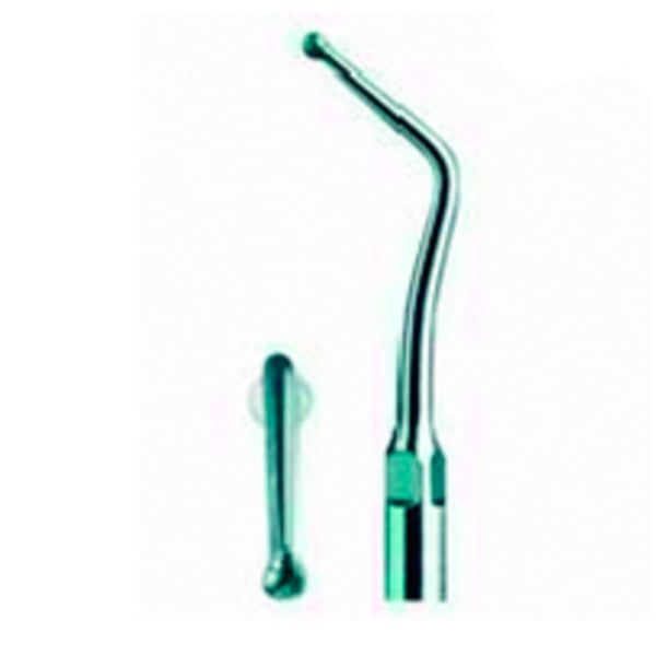 Punta Type échographie pic 