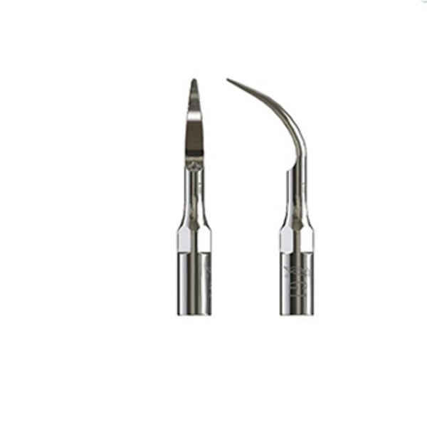 Punta Type échographie pic 