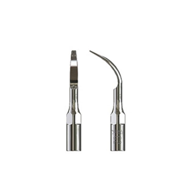 Punta Type échographie pic 