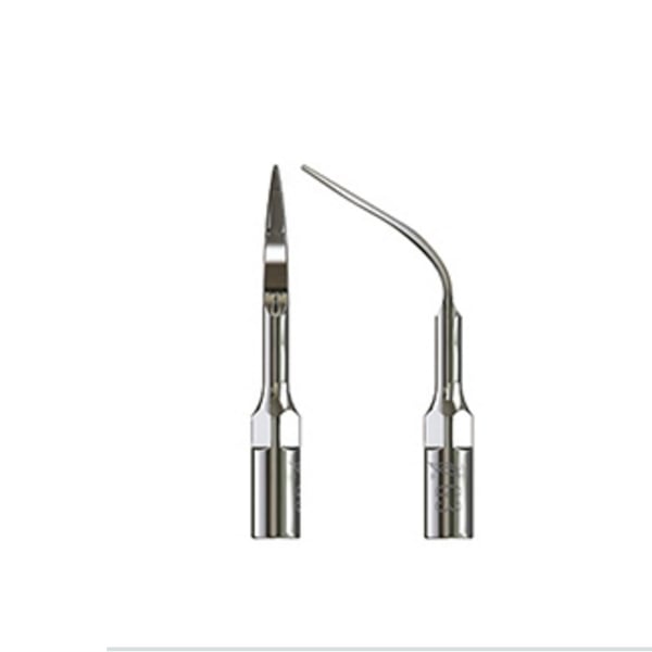 Punta Type échographie pic 