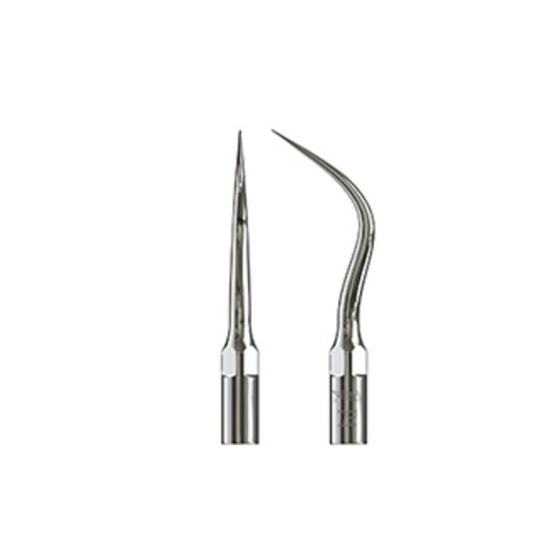 Punta Type échographie pic 