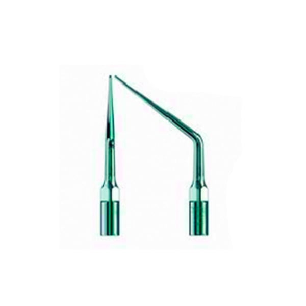 Punta Type échographie pic 