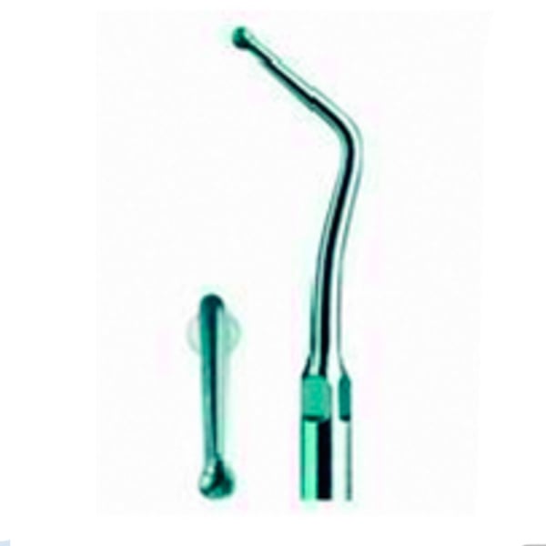 Punta Type échographie pic 