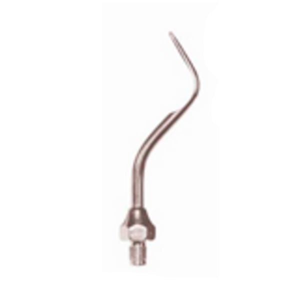 Punta Type échographie pic 