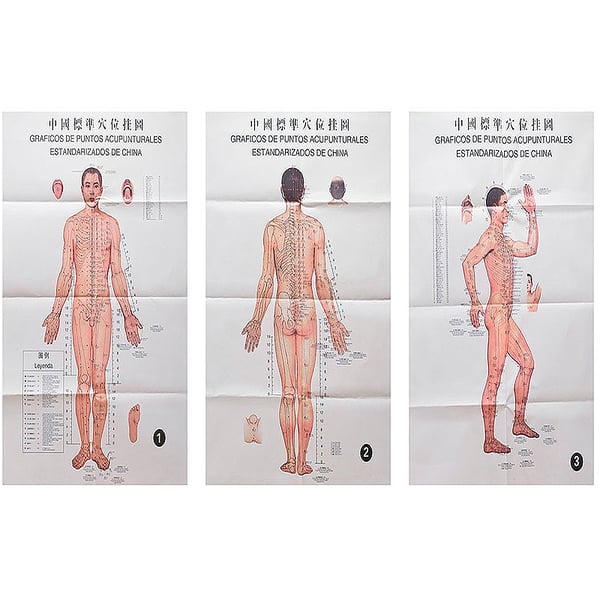 Canaux et points d'acupuncture normalisé (3 feuilles)