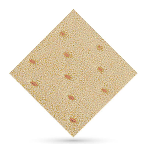 Viande perforée Herbiform 1 x 1 mètres 1,5 mm