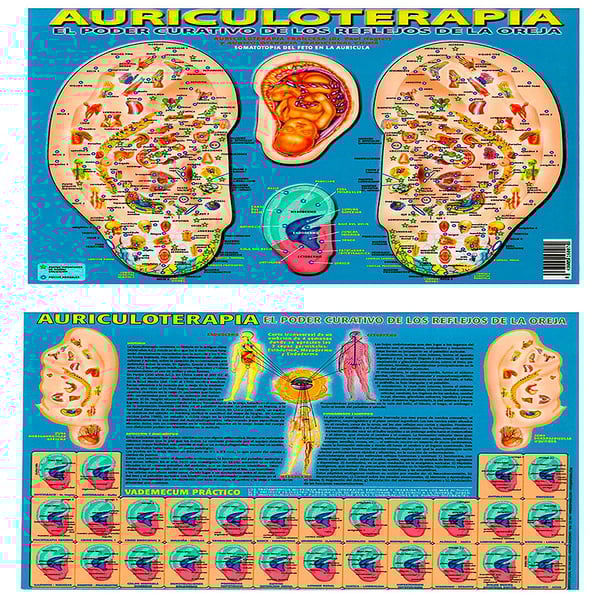 Affiche d'auriculothérapie le pouvoir de guérison des réflexes de l'oreille