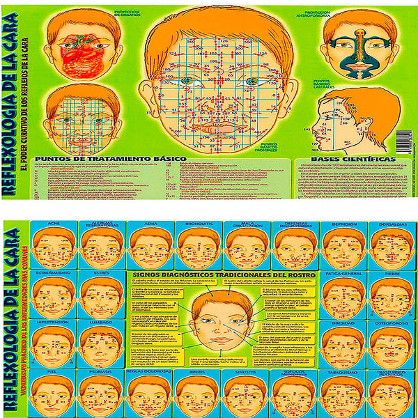 Fiche Réflexologie du visage A4