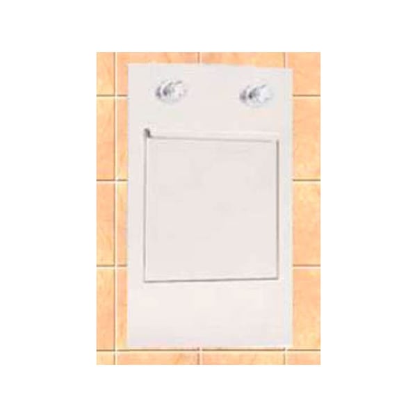 Lave lit mural avec cuve de tamponnage avec robinets temporisés : En inox (45 x 30 x 75 cm)