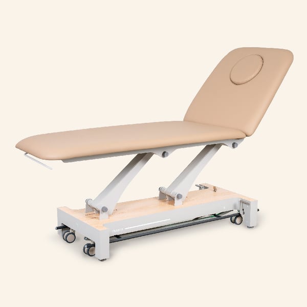 Table de traitement électrique Nuuna 2L Pro : 2 sections avec 1 moteur, contrôle périmétrique à 360°, dossier réglable et revêtement Naggura Skin (différentes couleurs)