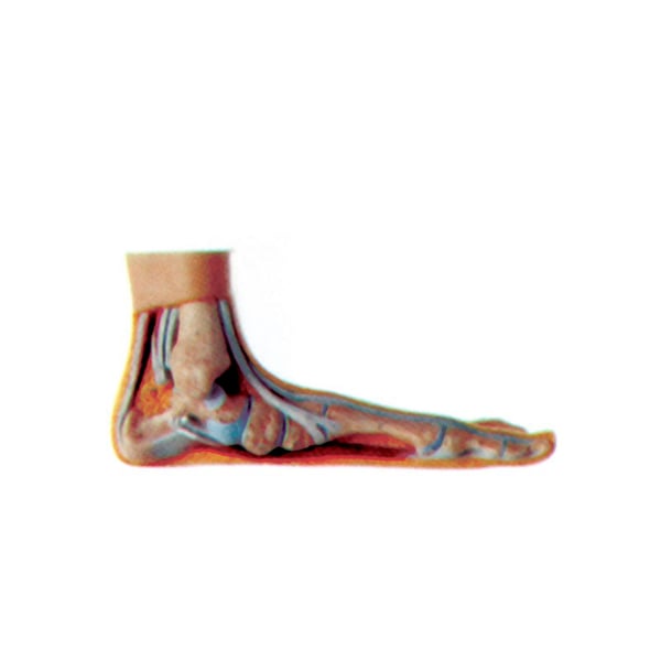 Pied d'exposition plat