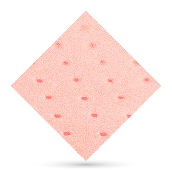 Plastazote perforé 3mm