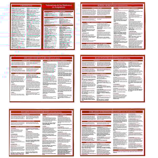 Vade-mecum des syndromes en acupuncture