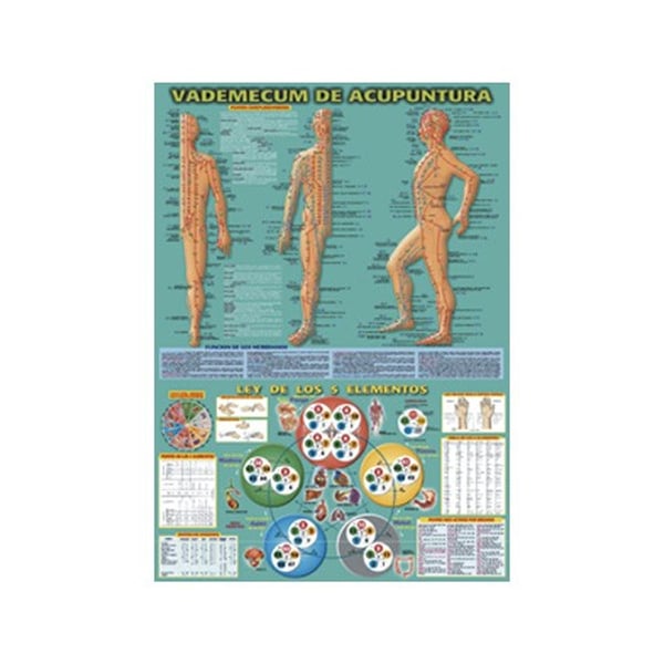 Acupuncture Vademecum 50 x 70cm