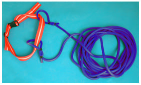 Ceinture de résistance pour la natation Nouveau 5m. densité lumineuse