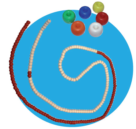 Corde de couloir aquatique Roma (Donut) avec corde et mousqueton (25 mètres)