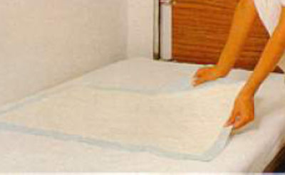 Absorbeurs en cellulose 60 X 60 cm (Boîte de 200 unités)