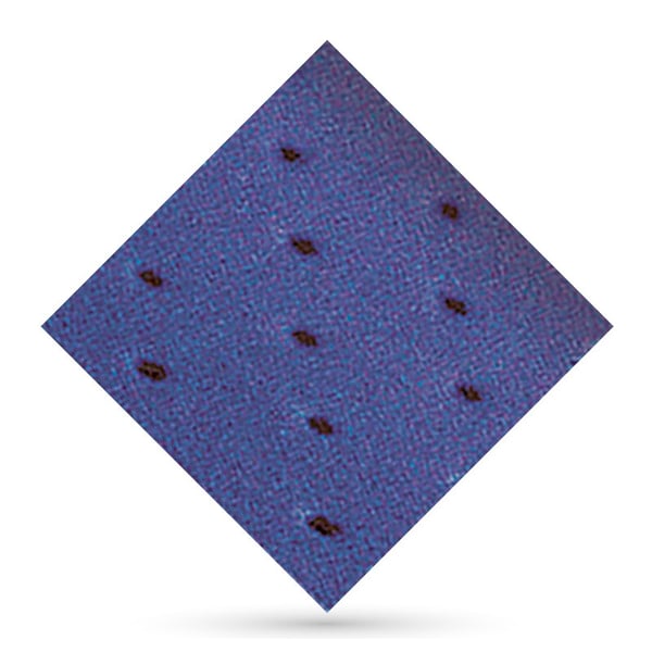 Herbiform perforé bleu 1,5 mm