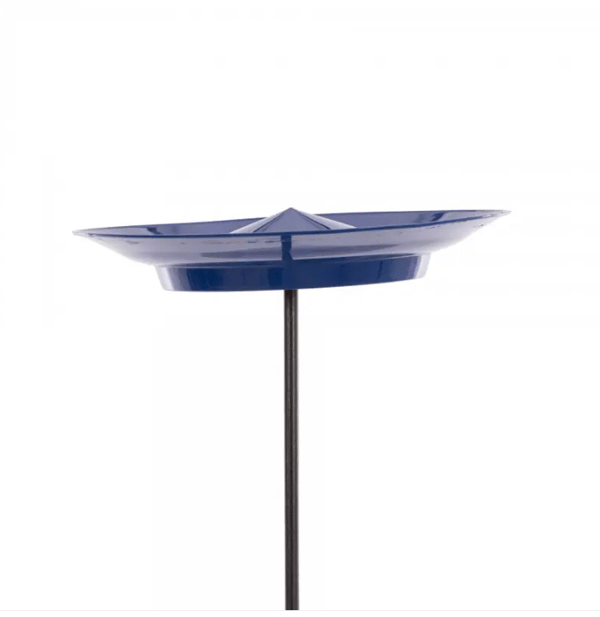 Ensemble Assiette chinoise