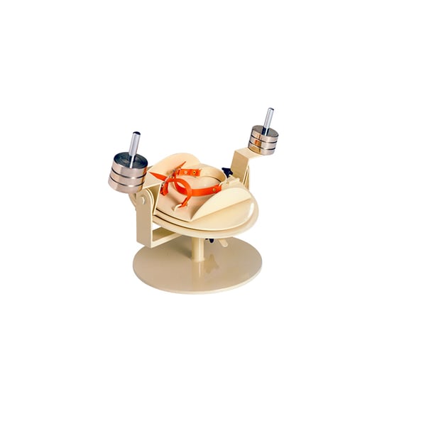 Appareil pour les exercices de rééducation de la cheville : idéal pour les traitements de rééducation et de physiothérapie