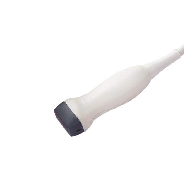 Sonde cardiaque adulte pour échographes Chison CBit: 2,5 MHz