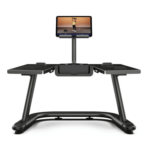 Support pour haltères BowFlex SelectTech avec meuble TV