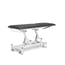 Table de traitement électrique Kinefis Polaris à deux sections : dotée d’un dossier inclinable très stable avec deux pistons et d’une barre périphérique pour le réglage en hauteur. Couleur : Gris graphite