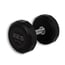 Haltères PRO-STYLE ELITE O'LIVE (Différents poids disponibles) Haltères PRO-STYLE ELITE O'LIVE (Différents poids disponibles)