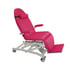 Chaise &eacute;lectrique pour h&eacute;modialyse et chimioth&eacute;rapie : quatre corps, avec trois moteurs pour le r&eacute;glage de la hauteur, du dossier, du repose-pieds et du Trendelenburg. Comprend des bras, un coussin cervical et des roues - Dimensions du fauteuil: 57 cm x 192 cm - R&eacute;f&eacute;rence: SE-2340-BR