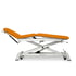 Brancard &eacute;lectrique pour l'ost&eacute;opathie : trois corps avec dossier inclinable n&eacute;gatif et mont&eacute;e droite sans d&eacute;placement lat&eacute;ral, roues escamotables et couvre-visage - Avec Trendelenburg: 62 cm x 190 cm - Rev&ecirc;tement standard - R&eacute;f&eacute;rence: CE-0130-ARPC.62