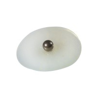 Boules de thérapie par écouteurs en métal avec adhésif transparent (300 unités) Boules de thérapie par écouteurs en métal avec adhésif transparent (300 unités)