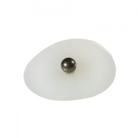 Boules d'auriculothérapie en titane avec adhésif transparent (200 unités) Boules d'auriculothérapie en titane avec adhésif transparent (200 unités)
