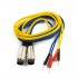 Lot de 2 Câbles New Age : Compatible avec Electrostimulateur Biophysio
