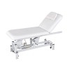 Table de massage et de beauté lombaire: électrique, avec deux corps et moteur pour le réglage de la hauteur