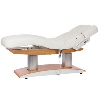 Trois sections Troch SPA, esthétique et table de massage: électrique avec quatre moteurs qui régulent la hauteur et l'inclinaison du dossier