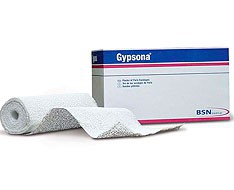 Gypsona Gypsona