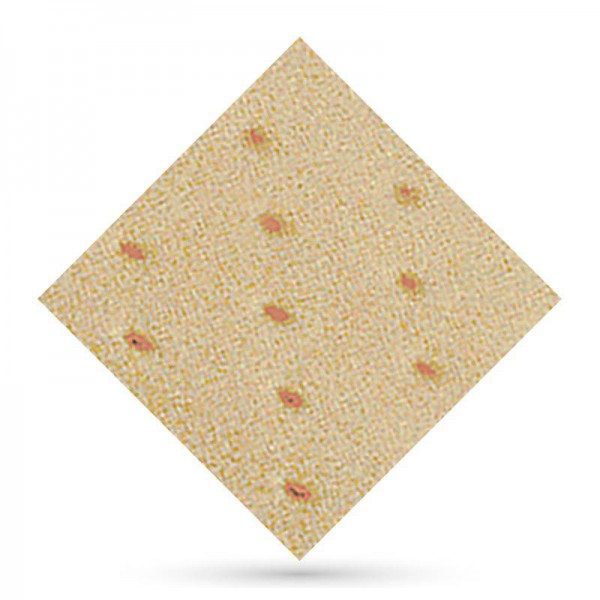 Viande perforée Herbiform 1 x 1 mètres 1,5 mm Viande perforée Herbiform 1 x 1 mètres 1,5 mm