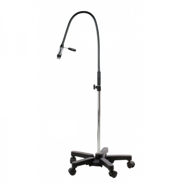 Lampe d'examen au sol Riester ri-magic LED transformateur 230V/120V Lampe d'examen au sol Riester ri-magic LED transformateur 230V/120V